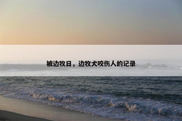 被边牧日，边牧犬咬伤人的记录
