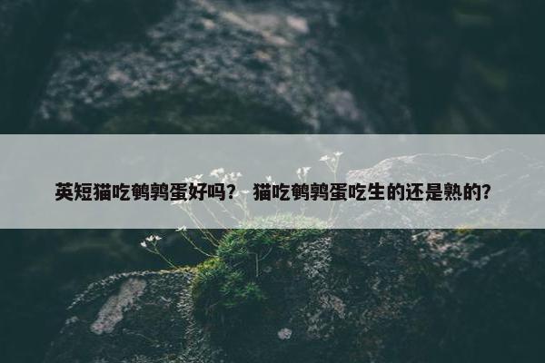英短猫吃鹌鹑蛋好吗？ 猫吃鹌鹑蛋吃生的还是熟的？