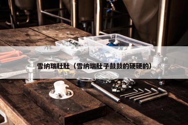 雪纳瑞肚肚（雪纳瑞肚子鼓鼓的硬硬的）