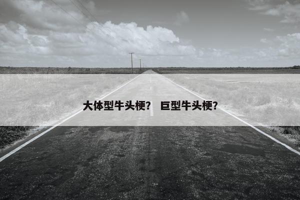 大体型牛头梗？ 巨型牛头梗？
