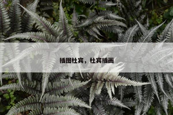 插图杜宾，杜宾插画