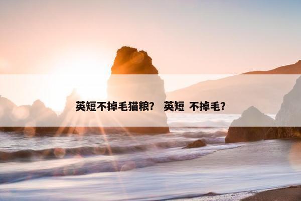 英短不掉毛猫粮？ 英短 不掉毛？