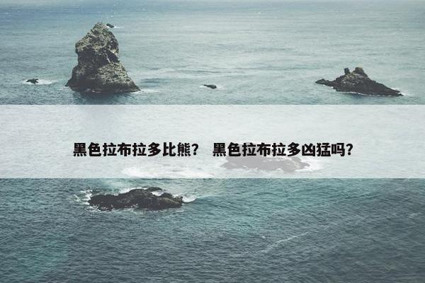 黑色拉布拉多比熊？ 黑色拉布拉多凶猛吗？