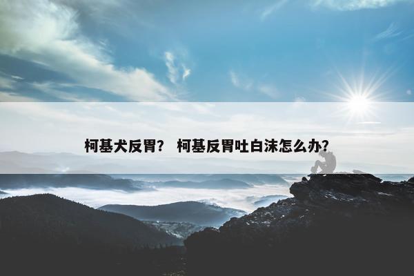 柯基犬反胃？ 柯基反胃吐白沫怎么办？