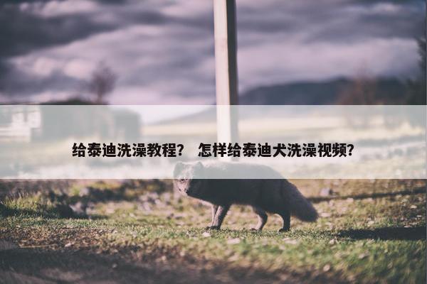 给泰迪洗澡教程？ 怎样给泰迪犬洗澡视频？