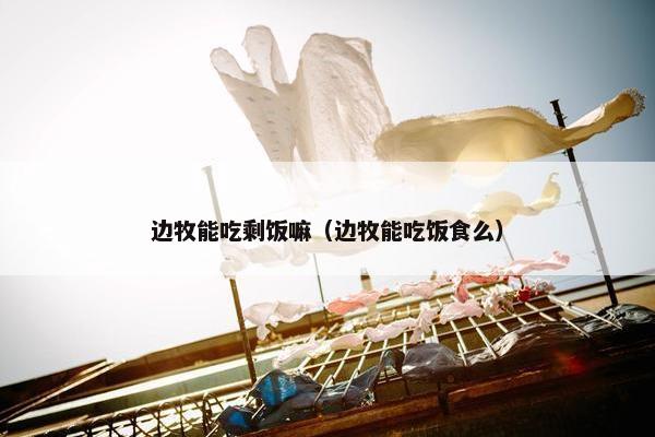 边牧能吃剩饭嘛（边牧能吃饭食么）