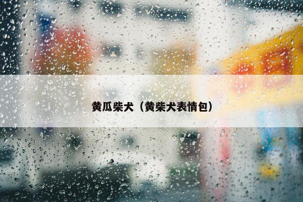 黄瓜柴犬（黄柴犬表情包）