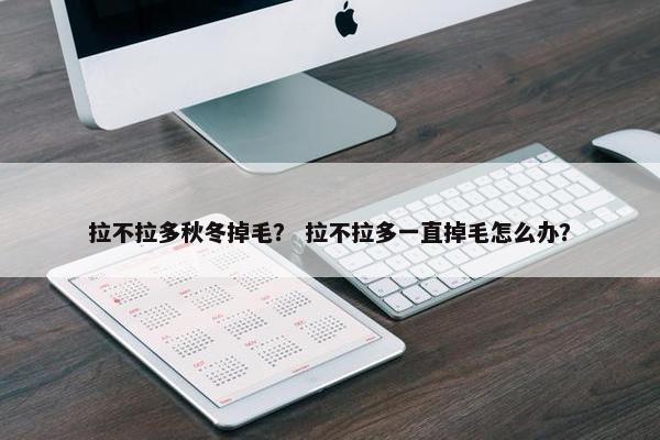 拉不拉多秋冬掉毛？ 拉不拉多一直掉毛怎么办？