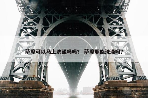 萨摩可以马上洗澡吗吗？ 萨摩耶能洗澡吗？