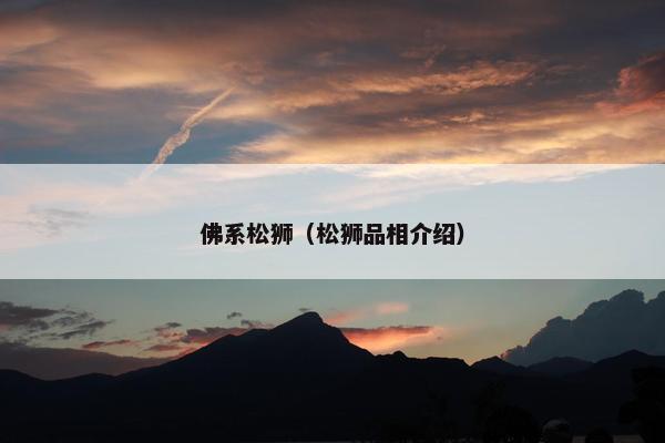 佛系松狮（松狮品相介绍）