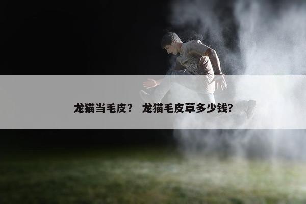 龙猫当毛皮？ 龙猫毛皮草多少钱？