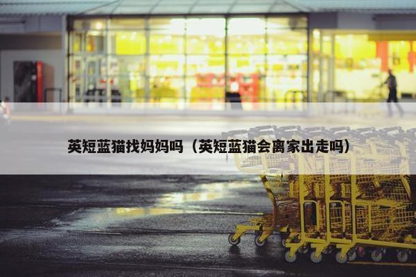 英短蓝猫找妈妈吗（英短蓝猫会离家出走吗）