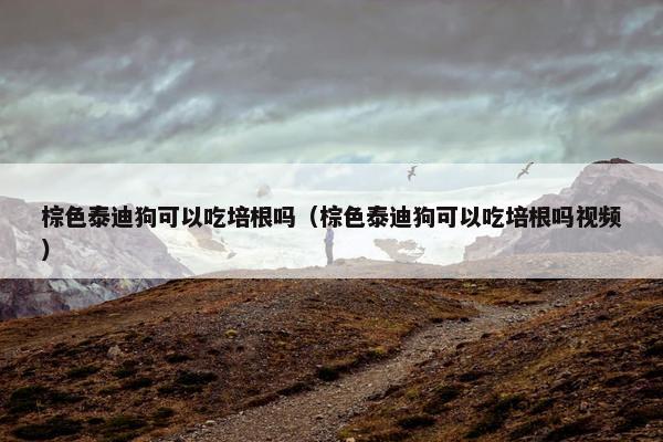 棕色泰迪狗可以吃培根吗（棕色泰迪狗可以吃培根吗视频）