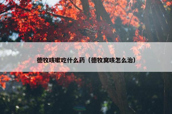 德牧咳嗽吃什么药（德牧窝咳怎么治）
