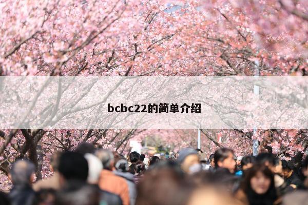 bcbc22的简单介绍