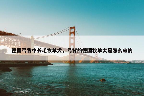 德国弓背中长毛牧羊犬，弓背的德国牧羊犬是怎么来的