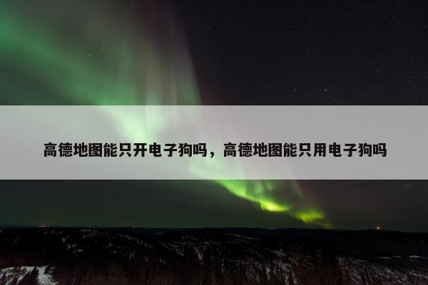 高德地图能只开电子狗吗，高德地图能只用电子狗吗