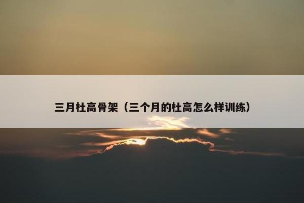 三月杜高骨架（三个月的杜高怎么样训练）