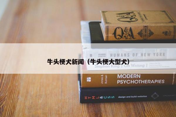 牛头梗犬新闻（牛头梗大型犬）