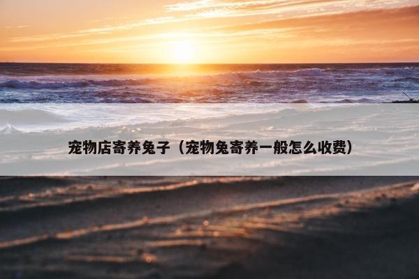 宠物店寄养兔子（宠物兔寄养一般怎么收费）