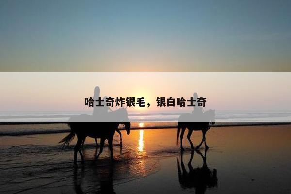 哈士奇炸银毛，银白哈士奇
