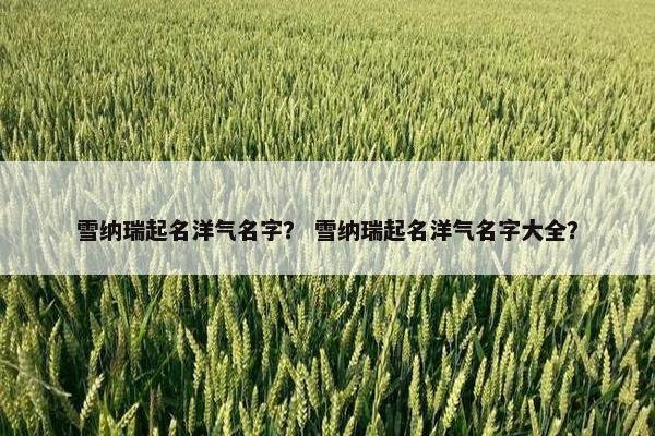 雪纳瑞起名洋气名字？ 雪纳瑞起名洋气名字大全？