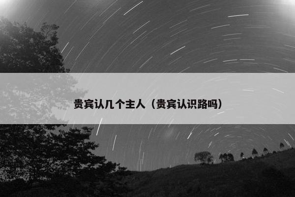 贵宾认几个主人（贵宾认识路吗）