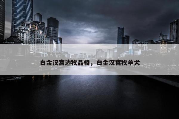 白金汉宫边牧品相，白金汉宫牧羊犬