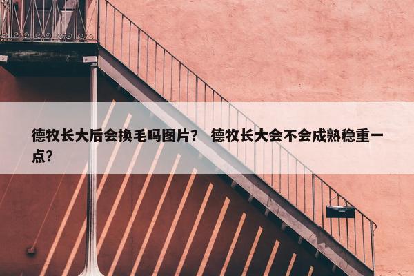 德牧长大后会换毛吗图片？ 德牧长大会不会成熟稳重一点？