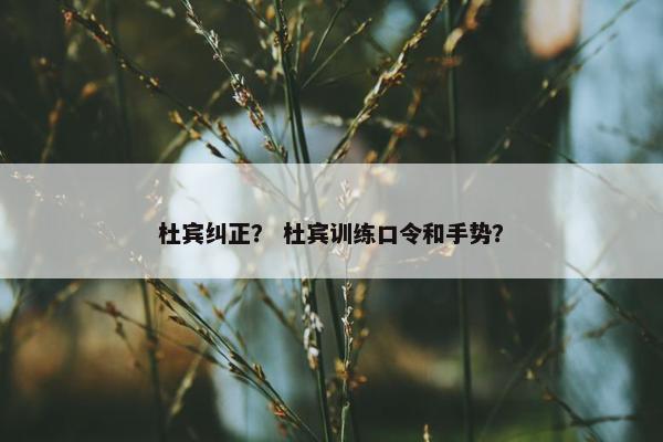 杜宾纠正？ 杜宾训练口令和手势？