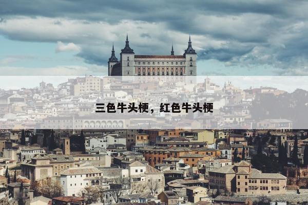 三色牛头梗，红色牛头梗