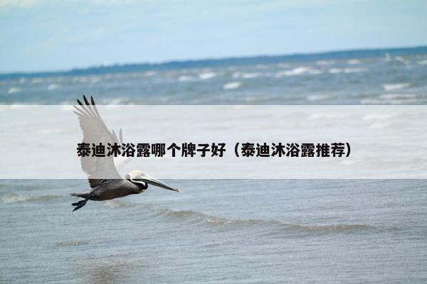 泰迪沐浴露哪个牌子好（泰迪沐浴露推荐）