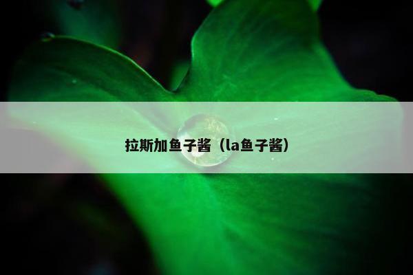 拉斯加鱼子酱（la鱼子酱）