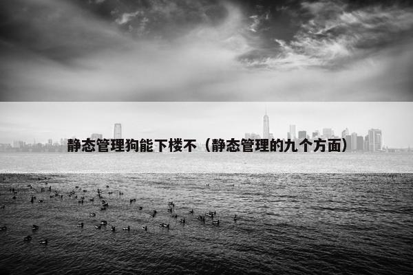 静态管理狗能下楼不（静态管理的九个方面）