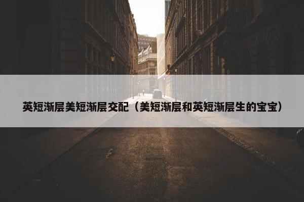 英短渐层美短渐层交配（美短渐层和英短渐层生的宝宝）