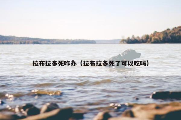 拉布拉多死咋办（拉布拉多死了可以吃吗）