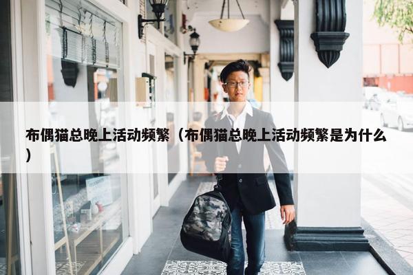 布偶猫总晚上活动频繁（布偶猫总晚上活动频繁是为什么）