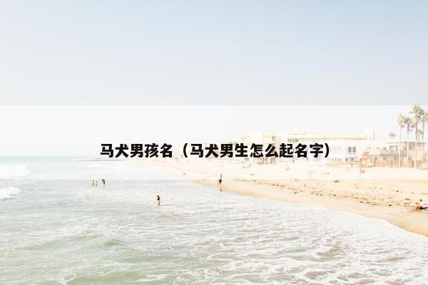 马犬男孩名（马犬男生怎么起名字）