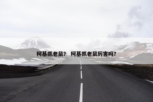 柯基抓老鼠？ 柯基抓老鼠厉害吗？