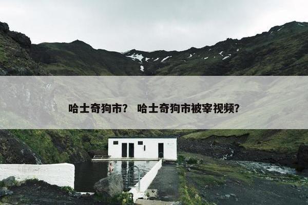 哈士奇狗市？ 哈士奇狗市被宰视频？