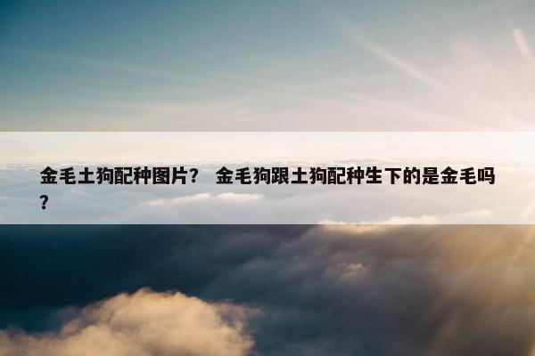 金毛土狗配种图片？ 金毛狗跟土狗配种生下的是金毛吗？