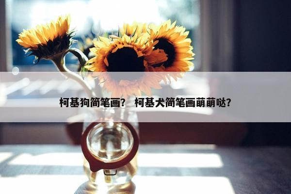 柯基狗简笔画？ 柯基犬简笔画萌萌哒？