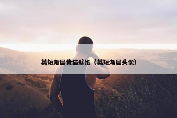 英短渐层黄猫壁纸（英短渐层头像）