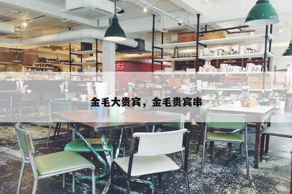 金毛大贵宾，金毛贵宾串