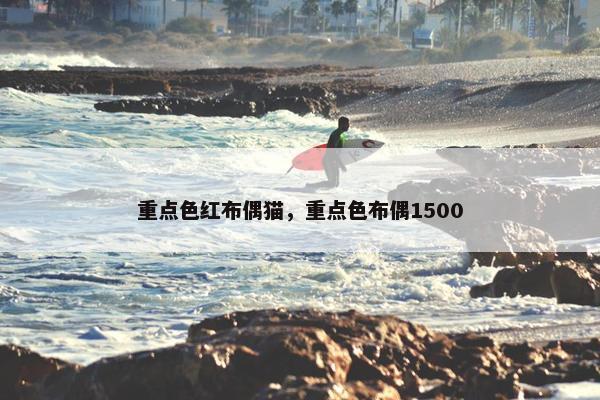 重点色红布偶猫，重点色布偶1500