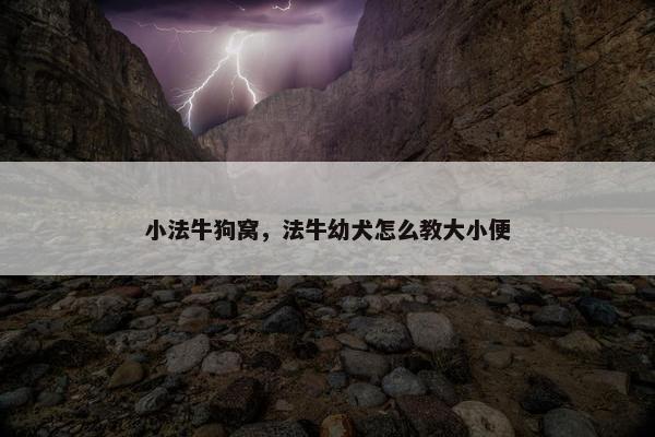 小法牛狗窝，法牛幼犬怎么教大小便