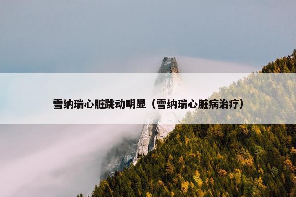 雪纳瑞心脏跳动明显（雪纳瑞心脏病治疗）