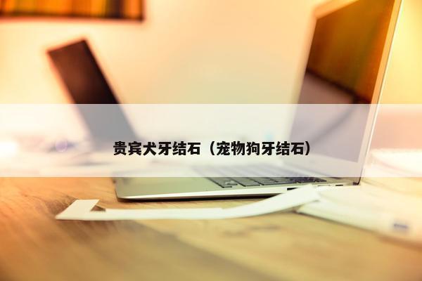 贵宾犬牙结石（宠物狗牙结石）