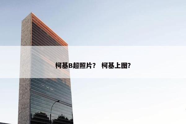 柯基B超照片？ 柯基上图？