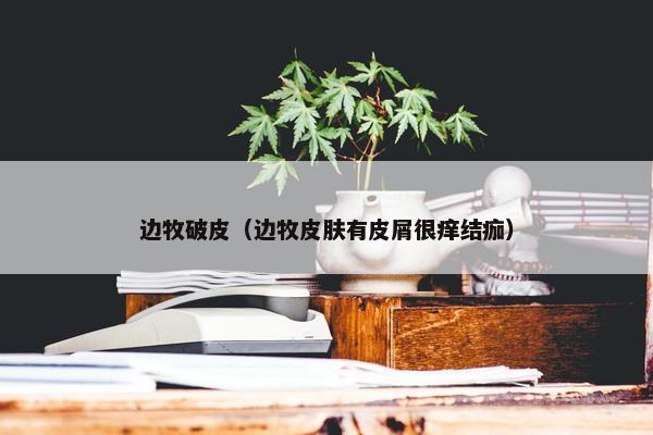 边牧破皮（边牧皮肤有皮屑很痒结痂）